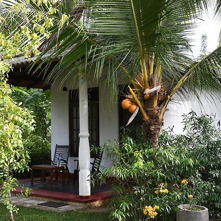 Bay Hill Guest House Tangalle Dış mekan fotoğraf