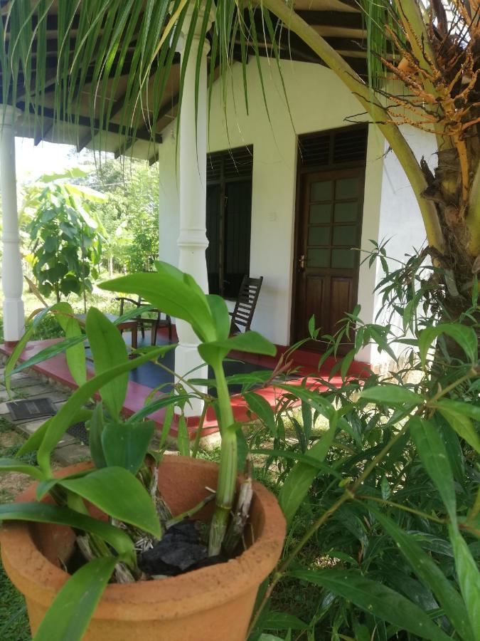Bay Hill Guest House Tangalle Dış mekan fotoğraf