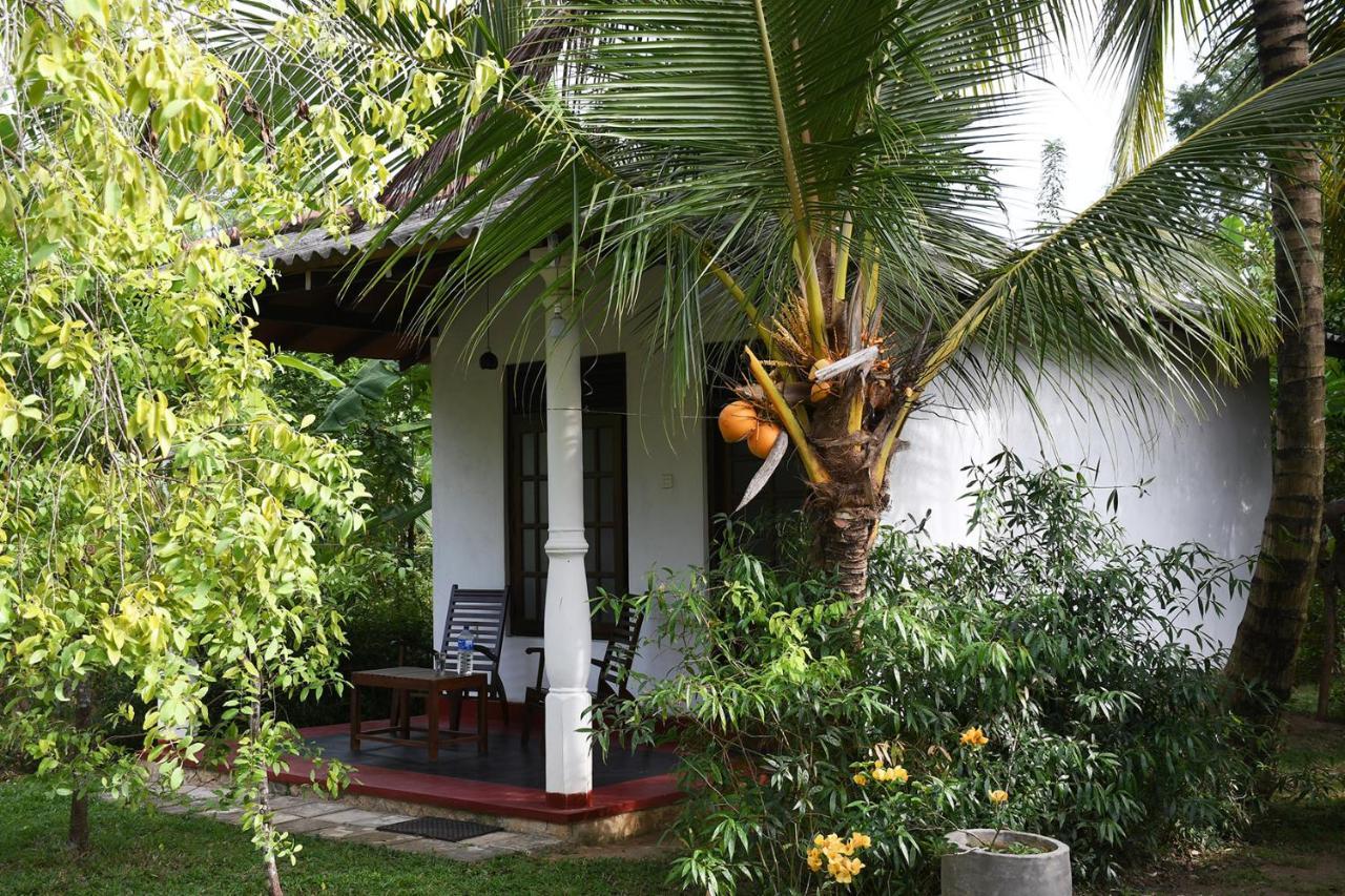 Bay Hill Guest House Tangalle Dış mekan fotoğraf