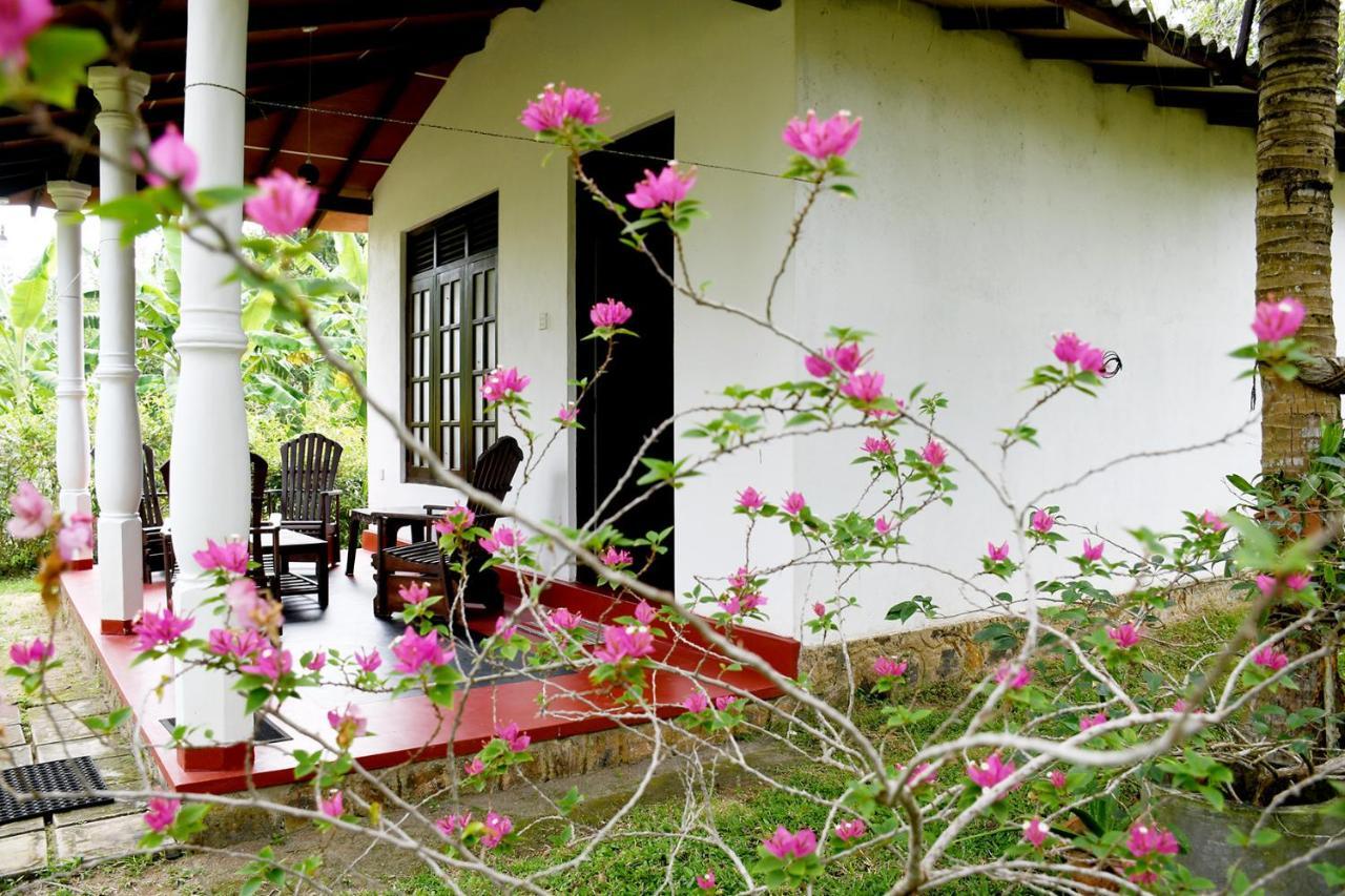 Bay Hill Guest House Tangalle Dış mekan fotoğraf