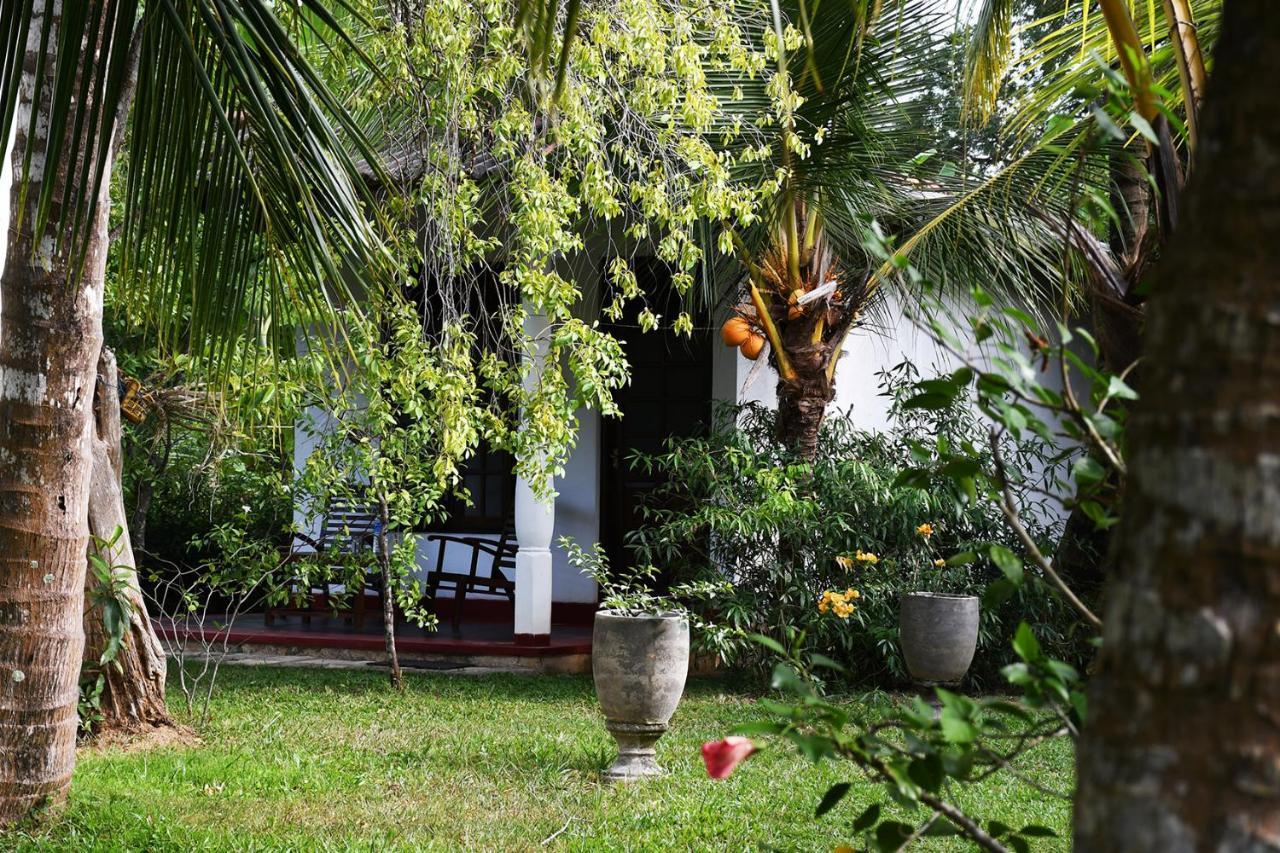 Bay Hill Guest House Tangalle Dış mekan fotoğraf