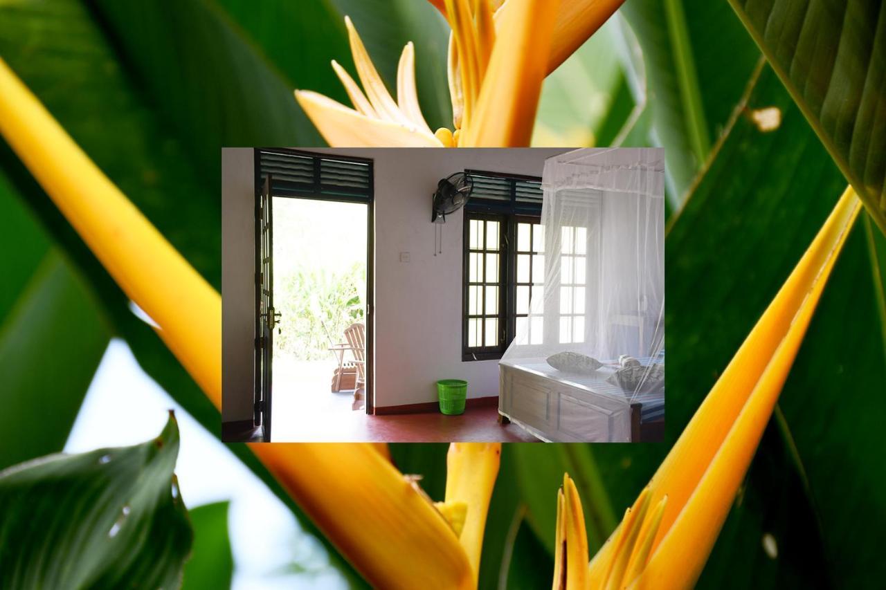 Bay Hill Guest House Tangalle Dış mekan fotoğraf